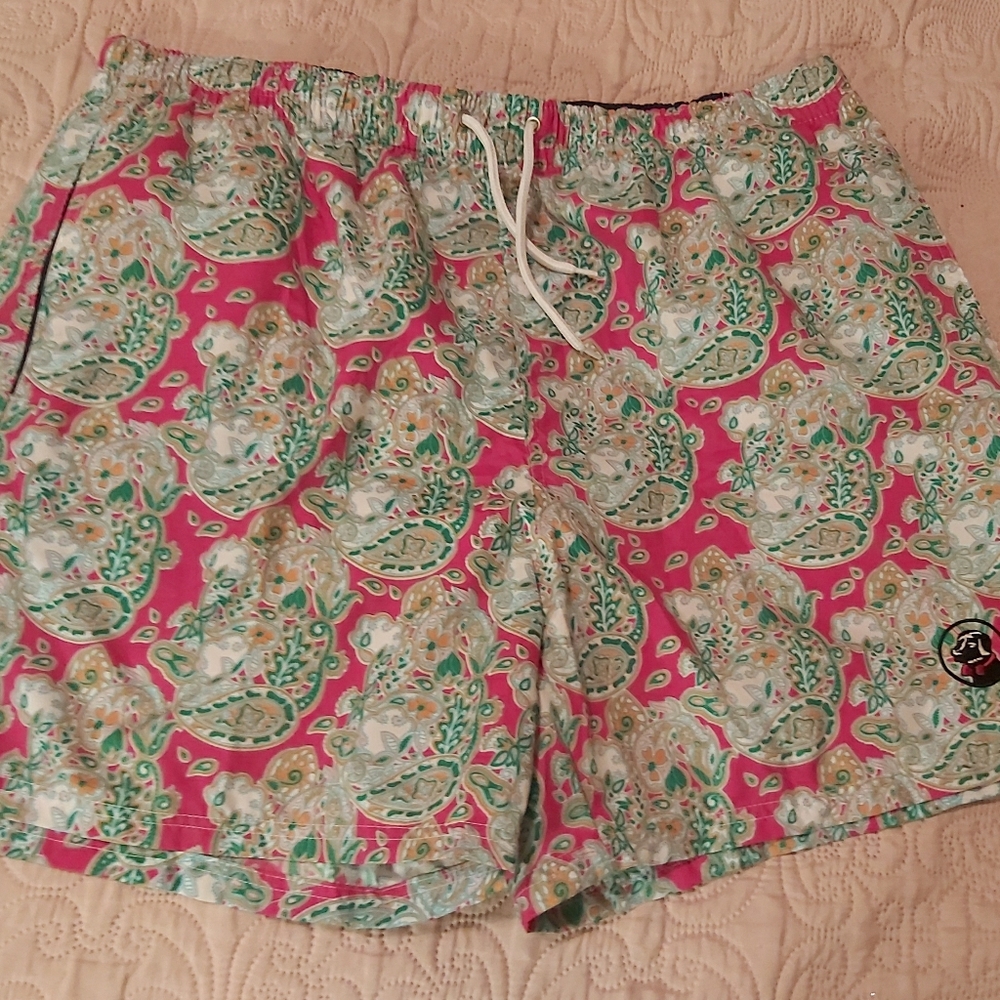 Southern Proper Swim Trunks